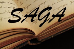 use word saga book