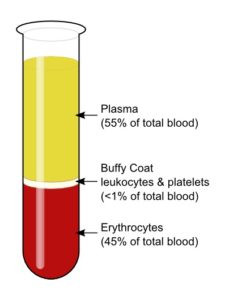 use-test-tube-blood