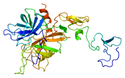 protein-c-structure